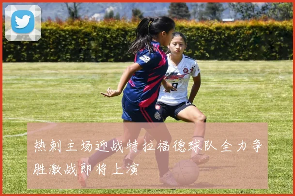 热刺主场迎战特拉福德球队全力争胜激战即将上演