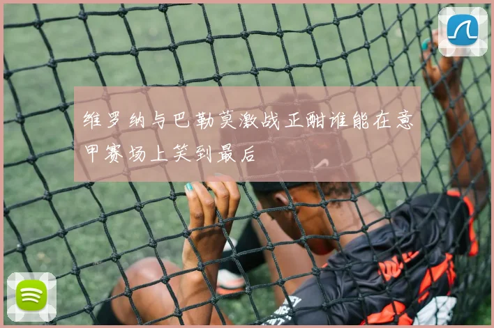 维罗纳与巴勒莫激战正酣谁能在意甲赛场上笑到最后