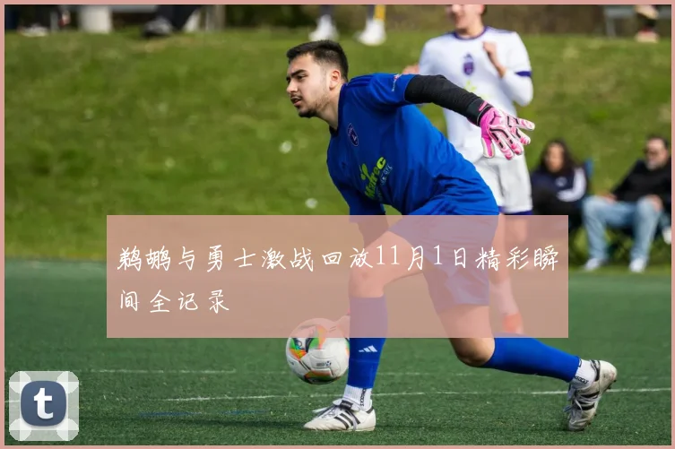 鹈鹕与勇士激战回放11月1日精彩瞬间全记录