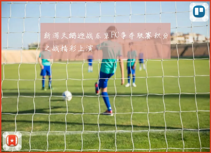 新泻天鹅迎战东京FC争夺联赛积分之战精彩上演