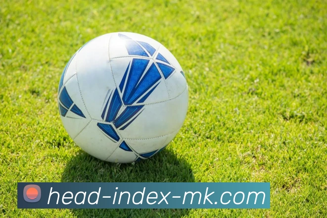 MK体育平台生态图